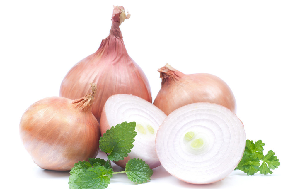 onion nanjingt.e falcon import export co,ltd.